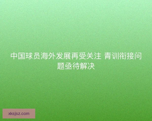 中国球员海外发展再受关注 青训衔接问题亟待解决